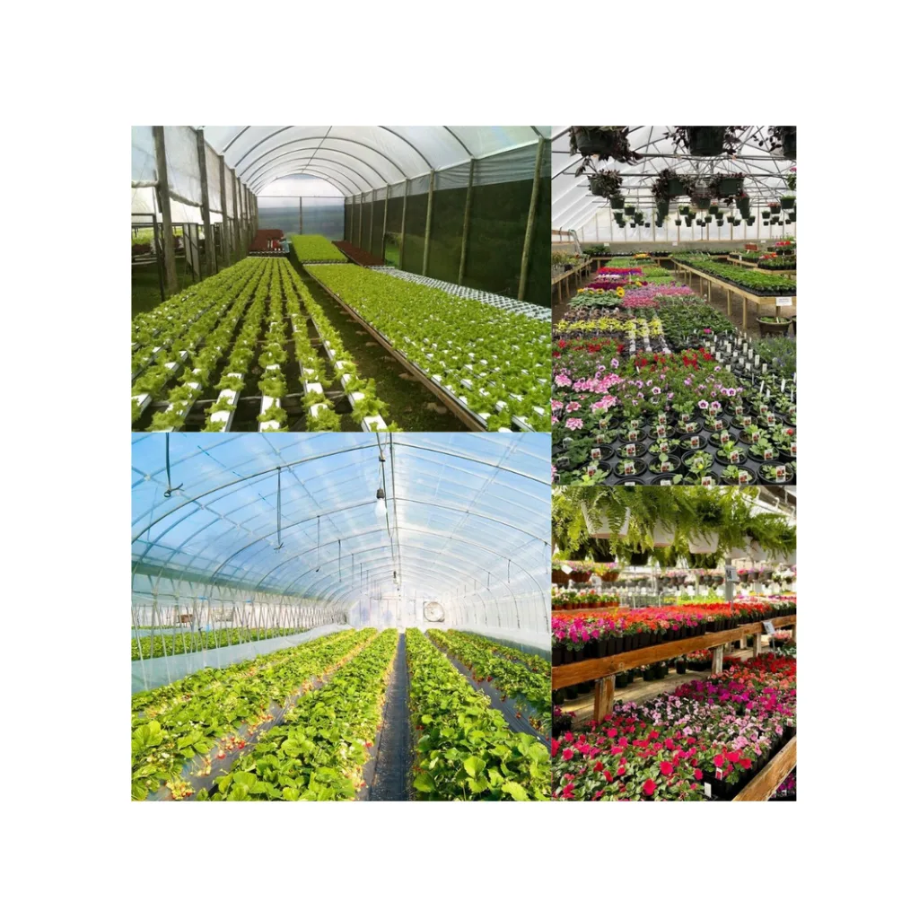 Indian horticulture services