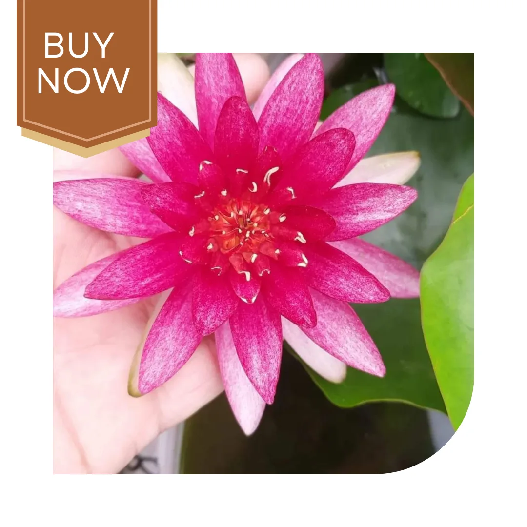 16 20250322 222425 0015