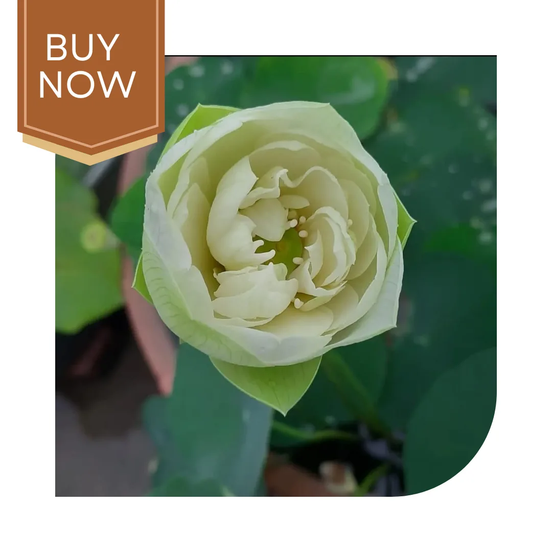 18 20250322 222425 0017