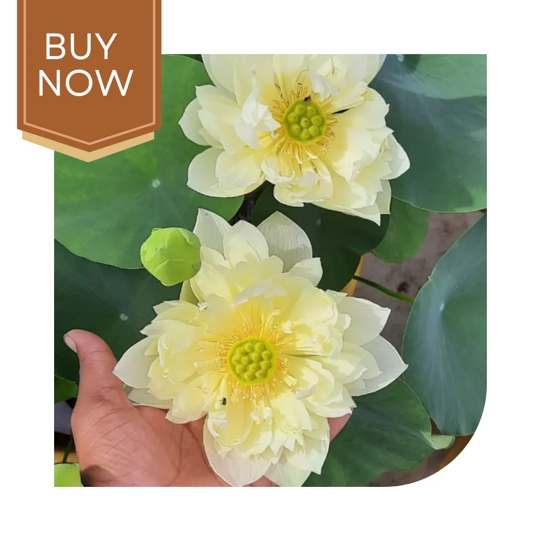 19 20250322 222425 0018