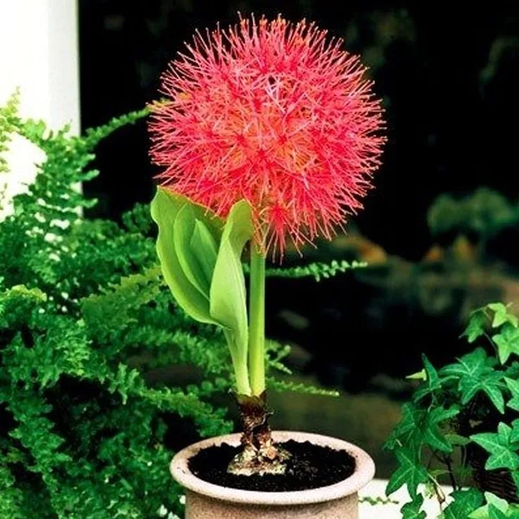 fbede3888d9f60229e8b9c2ca0a5c5d7