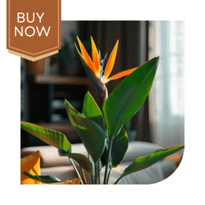 113 20250507 140027 0112