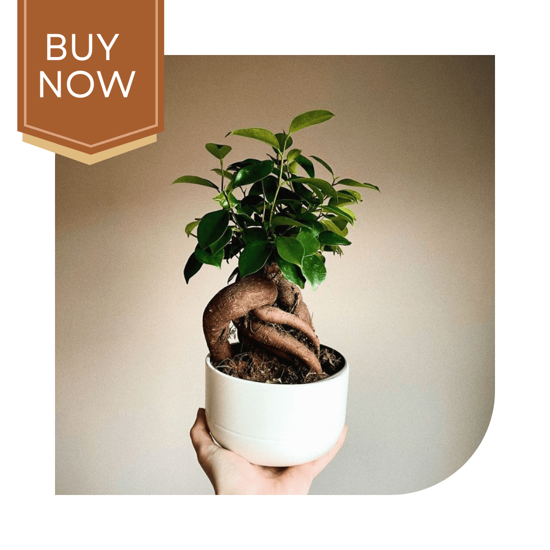 118 20250507 140027 0117