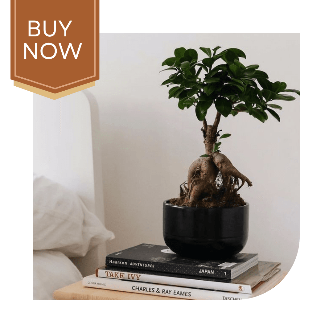 119 20250507 140027 0118