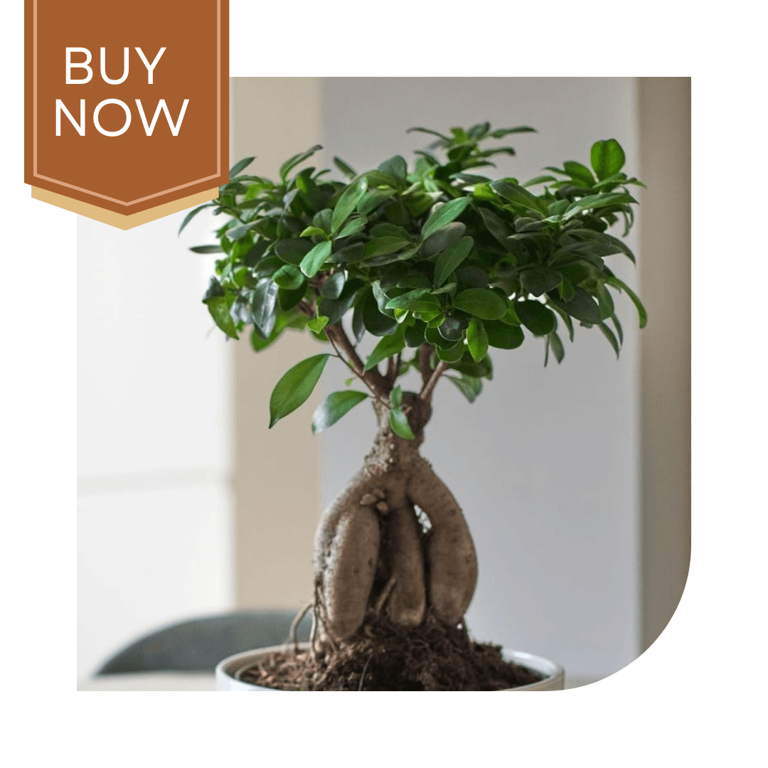 120 20250507 140027 0119