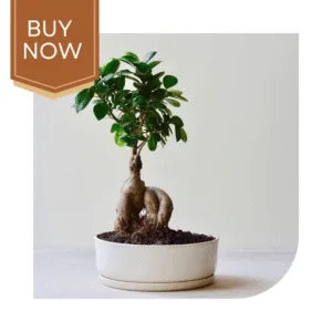 121 20250507 140027 0120