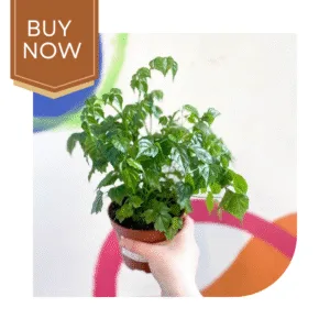 127 20250507 140028 0126