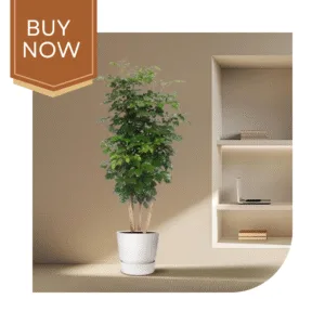 130 20250507 140028 0129