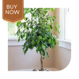 131 20250507 140028 0130