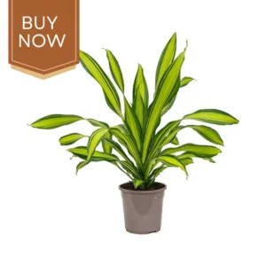 134 20250507 140028 0133