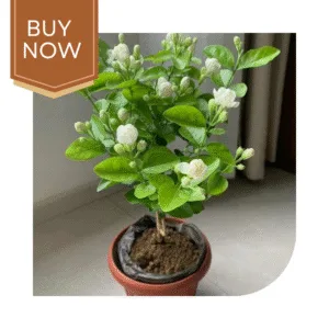 172 20250507 140031 0171