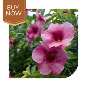 177 20250507 140032 0176