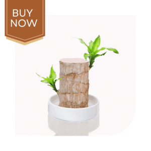 1 20250507 140017 0000