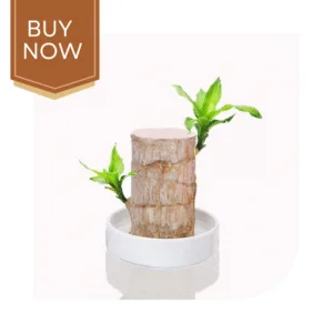 1 20250507 140017 0000