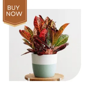 212 20250507 140034 0211