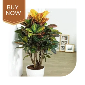 214 20250507 140035 0213