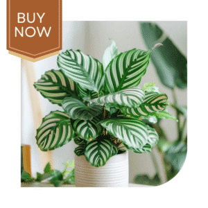 56 20250507 140022 0055