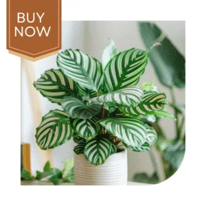 56 20250507 140022 0055