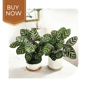 58 20250507 140022 0057