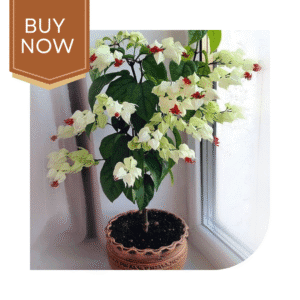 98 20250507 140025 0097