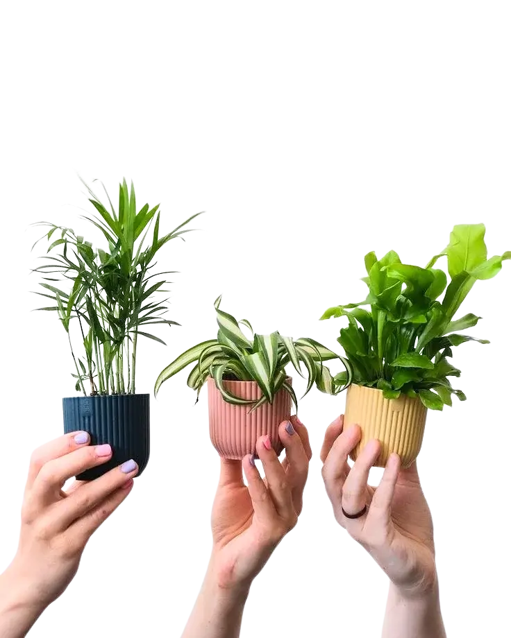 Horticulture expert in west bengal
